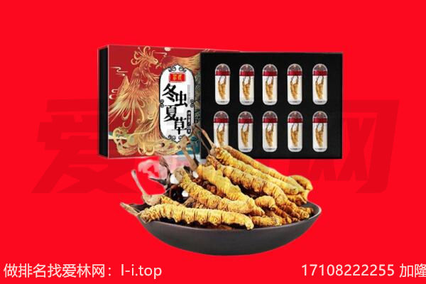 泰和县回收虫草.jpg